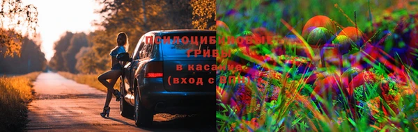 мяу мяу кристалл Алексеевка