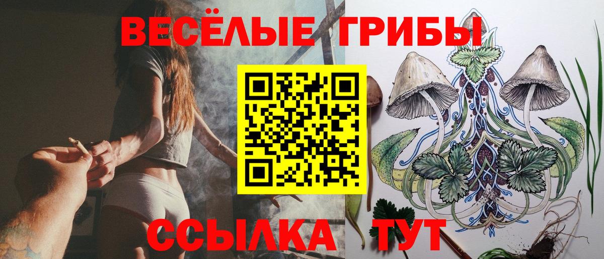 Галлюциногенные грибы Cubensis Балабаново