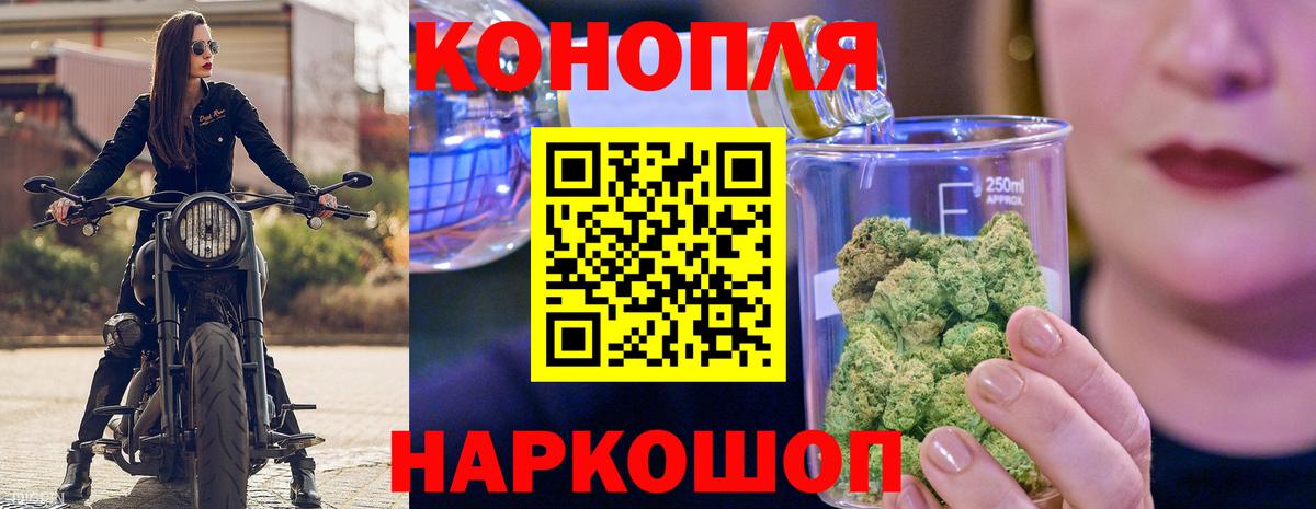 Каннабис сатива Балабаново